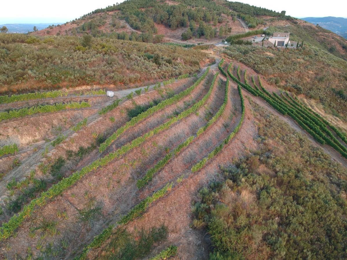 Stay At The Winemaker Ervedosa do Douro Zewnętrze zdjęcie