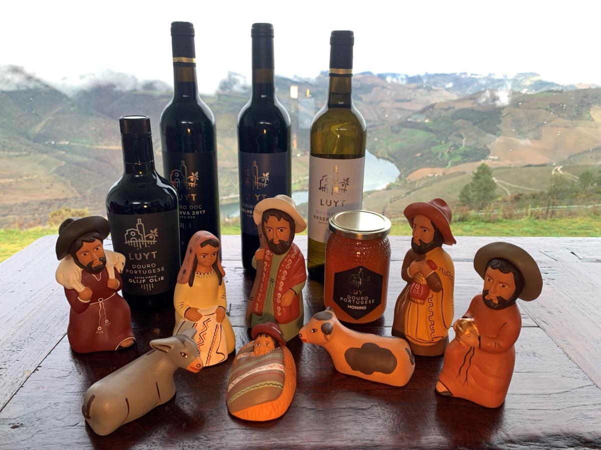 Stay At The Winemaker Ervedosa do Douro Zewnętrze zdjęcie